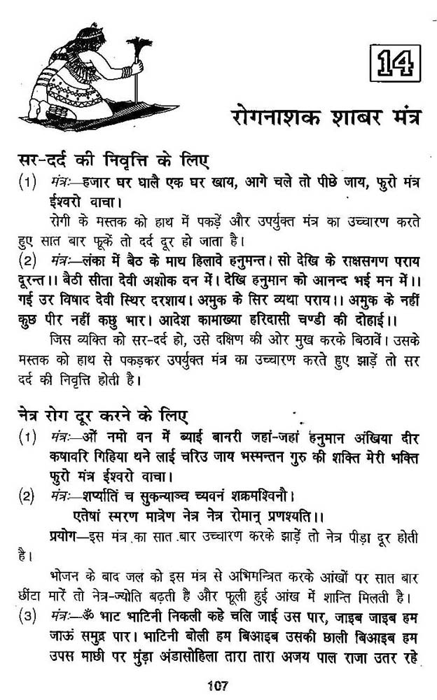 shabar mantra in hindi books shabar mantra in hindi books
